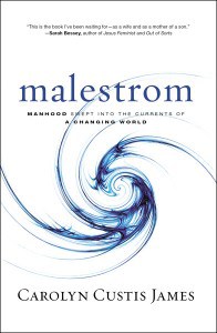 malestrom book cover